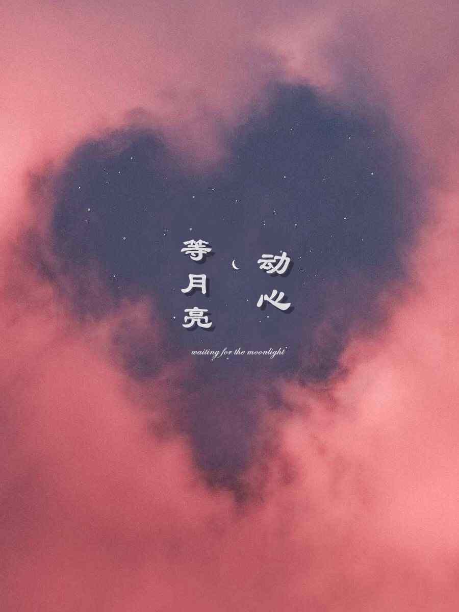 等月亮动心小说阅读，等月亮动心完整版