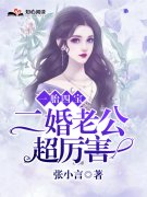 一胎四宝，二婚老公超厉害小说，