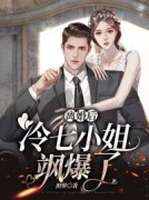 《离婚后，冷七小姐飒爆了》全集