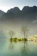 秦言秦诺(地球小区)最新章节免费在