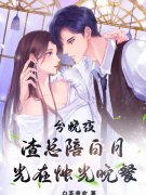 小说《渣总前夫想复合，我另觅新