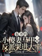已完结小说《秦爷的小傻妻马甲一