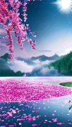书荒必备《通房有喜》全文章节阅
