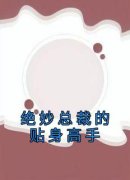 绝妙总裁的贴身高手完整版免费阅