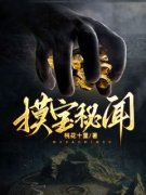 无弹窗小说摸宝秘闻 作者桃花十里