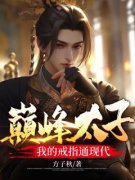 主角是秦鸣苏玉锦的小说叫什么《