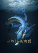 白玲陈晓离婚小说全集(陈晓白玲