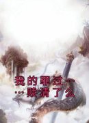 快手我的罪过……赎清了么小说全