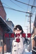 书荒必备《何清妤薄宴寒》全文章