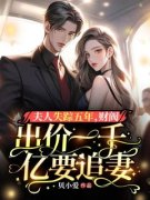 贝小爱的小说《夫人失踪五年，财
