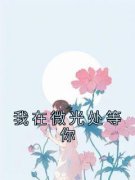 百度贴吧小说我在微光处等你，主