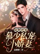 精彩小说隐婚虐爱：慕少私宠小娇