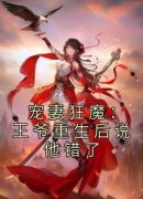 宠妻狂魔：王爷重生后说他错了小