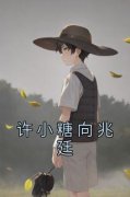 热门小说《许小糖向兆廷》完整版