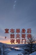 精选好书《宣布单身后，前夫哥夜
