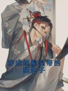 穿成绝嗣皇帝的独生子小说(连载文