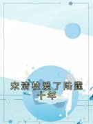 《宋清枝陆霆》主角小说宋清枝爱