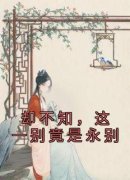宋晗柠裴铭奕小说(却不知，这一别