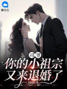 秦婳司承琛是哪部小说的主角 《司