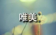 乐观生活唯美句子