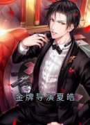 金牌导演夏皓全本小说（金牌导演