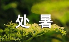 处暑发朋友圈说说
