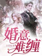 火爆婚意难缠小说，主角是沈素陆