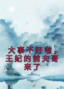 大事不好啦，王妃的前夫哥来了小