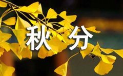 秋分的唯美句子
