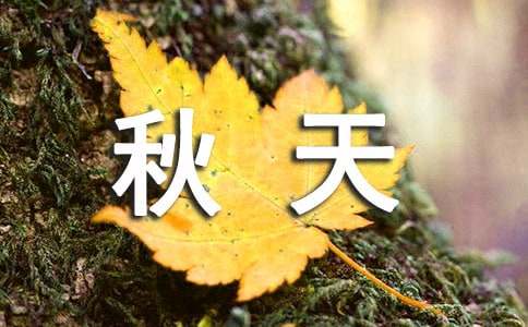秋天精美文案