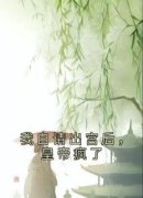 抖音爆款我自请出宫后，皇帝疯了