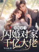 误嫁豪门，闪婚对家千亿大佬小说