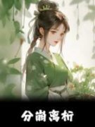 精选好书《分崩离析》无删减版全