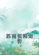 苏南悦陆知衍完整版《苏南悦陆知