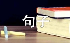 关于王小波名人名言句子汇总（精