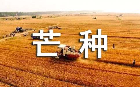 经典芒种唯美文案