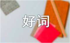 水浒传摘抄好词好句