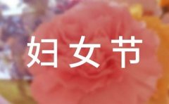 二年级三八妇女节日记