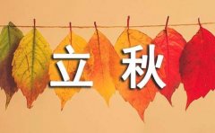 立秋说说（精选250句）