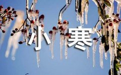 小寒快乐祝福短信（通用30句）