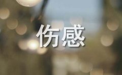 2024年伤感个性句子汇总55句