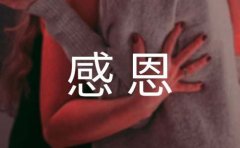 心怀感恩的优美文案实用