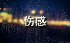 2024年通用微信伤感句子锦集70条