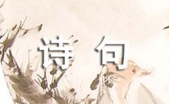 经典花个性诗句说说汇总80句
