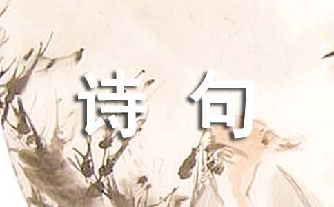经典花个性诗句说说汇总80句