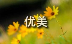 【精华】优美古风句子汇编70条