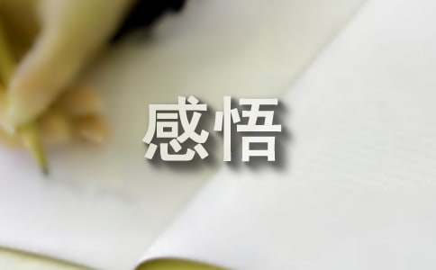 感悟生活的哲理签名