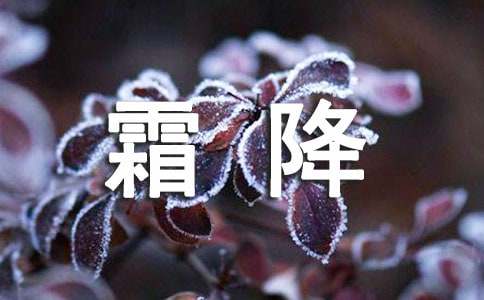 霜降经典祝福寄语（精选600句）