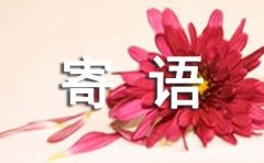新生儿寄语
