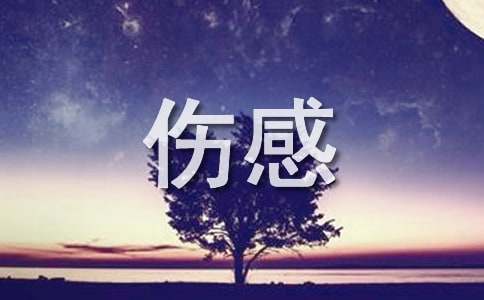 【精华】抖音最火的伤感句子摘录100句